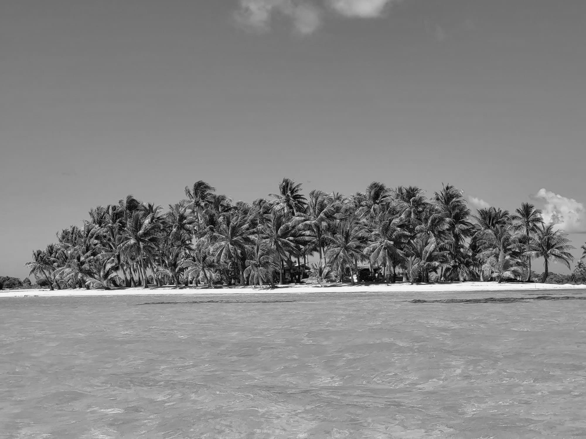 Nowy program – Wodne Skarby Pacyfiku